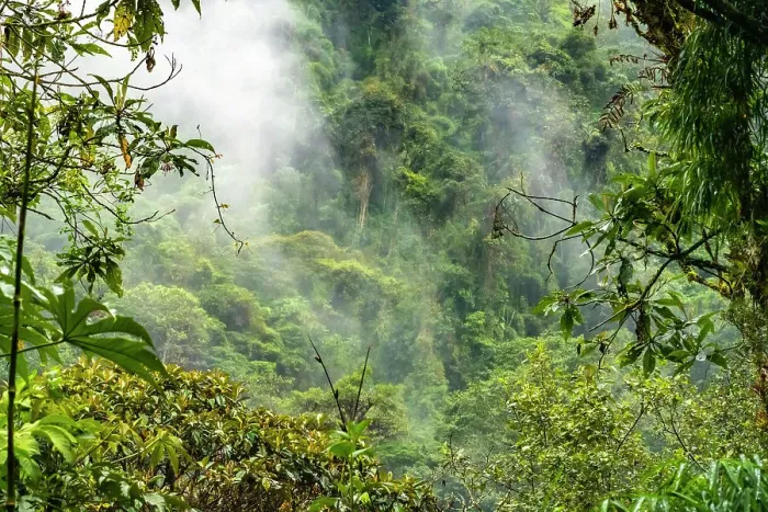 Framed Print : Ecuador, Guango. Cloud in jungle landscape