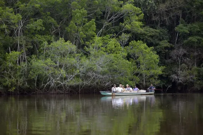 Framed Print : Ecuador, Orellana, Napo River. Tourists viewing wildlife in a canoe, La Selva Amazon Framed Print : Ecuador, Orellana, Napo River. Tourists viewing wildlife in a canoe, La Selva Amazon