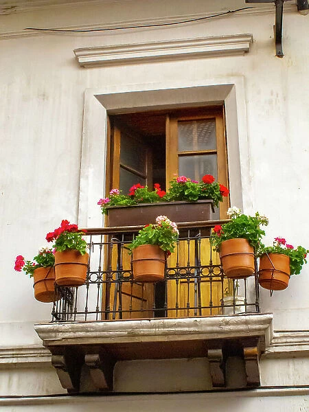 Ecuador, Quito. La Ronda neighborhood scenic of flower pots in window