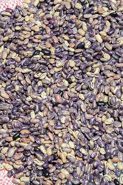 Ecuador, Quito, Otavalo, food market. Purple pinto beans