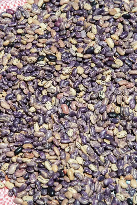 Framed Print : Ecuador, Quito, Otavalo, food market. Purple pinto beans Framed Print : Ecuador, Quito, Otavalo, food market. Purple pinto beans