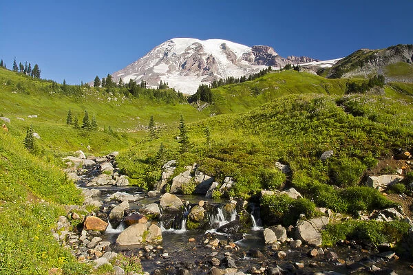 Edith Creek; Mount Rainier from Paradise; Mount Rainier National Park; Washington; USA