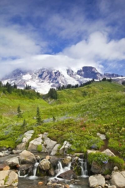 Edith Creek and wildflower meadows at Paradise in Mount Rainier National Park in
