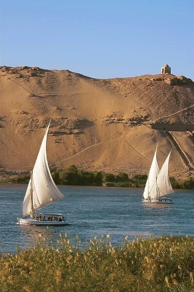 Egypt, Aswan, Nile River, Felucca sailboats, Palm trees and the large sand dunes
