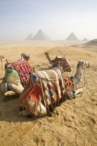 Egypt, Cairo. Resting