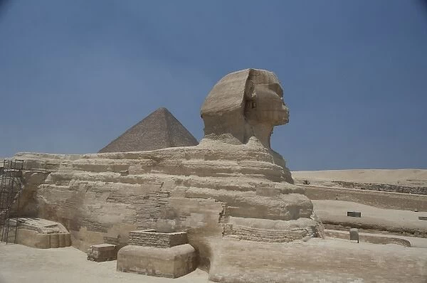 Egypt, Cairo. The Sphinx in front of the Great Pyramids of Giza