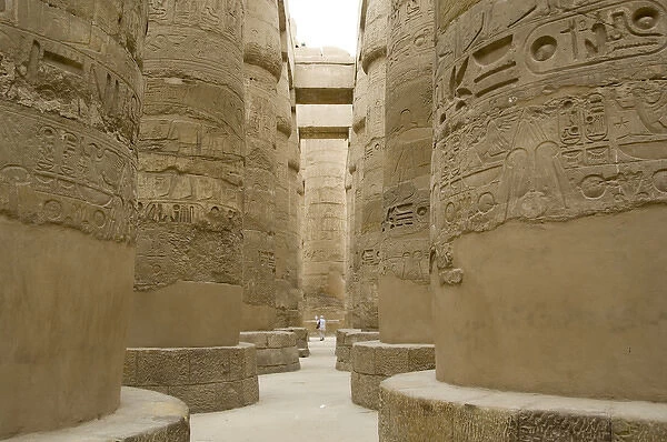Egypt, Luxor, East Bank, Karnak Temple. Hieroglyphic covered columns in the hypostyle