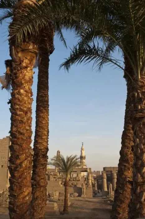 Framed Print : Egypt, Luxor. Luxor Temple