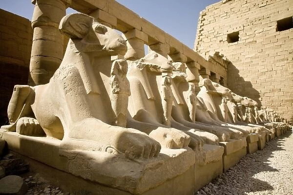 EGYPT, Luxor. A row of Lion-headed phoenixes each holding an image of Ramses III