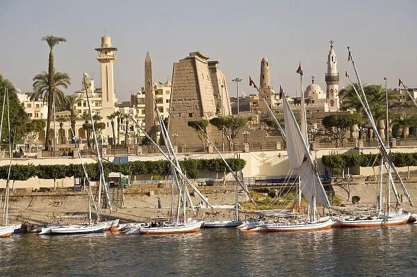 Egypt, Luxor. Tall-masted felucca sailboats moored on the banks for the Nile in front