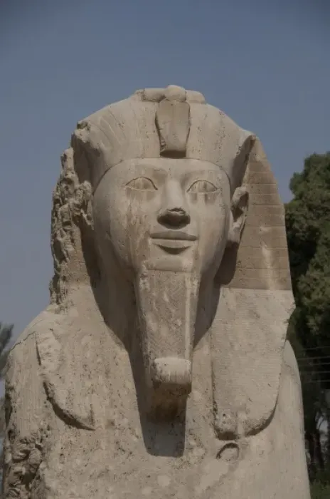Framed Print : Egypt, Memphis (aka Menufer). Alabaster sphinx of Amenophis II Framed Print : Egypt, Memphis (aka Menufer). Alabaster sphinx of Amenophis II