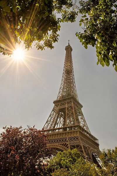 Eiffel Tower framed by trees and sunburst in Paris, France