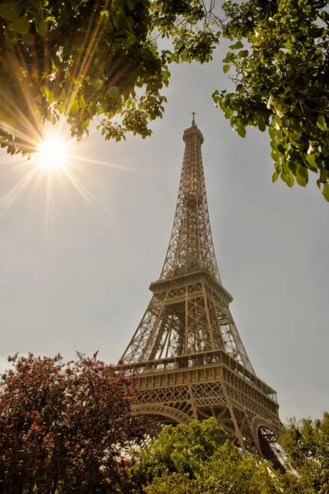 Framed Print : Eiffel Tower framed by trees and sunburst in Paris, France
