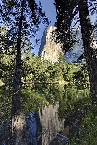 El Capitan reflected on Merced River, Yosemite National Park, California