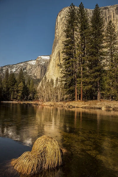 El Capitan reflection in Merced River. Yosemite, California, US
