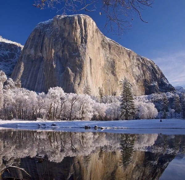 El Capitan reflects into the Merced River in winter in Yosemite National Park, California