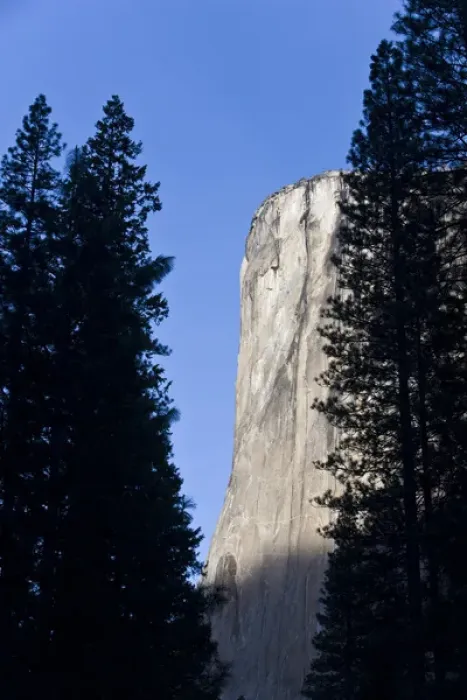 Framed Print : El Capitan as seen through pine trees in Yosemite valley - Yosemite National Park Framed Print : El Capitan as seen through pine trees in Yosemite valley - Yosemite National Park