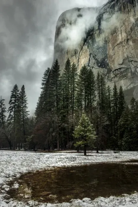 Framed Print : El Capitan seen from the valley meadows. Yosemite, California, US Framed Print : El Capitan seen from the valley meadows. Yosemite, California, US
