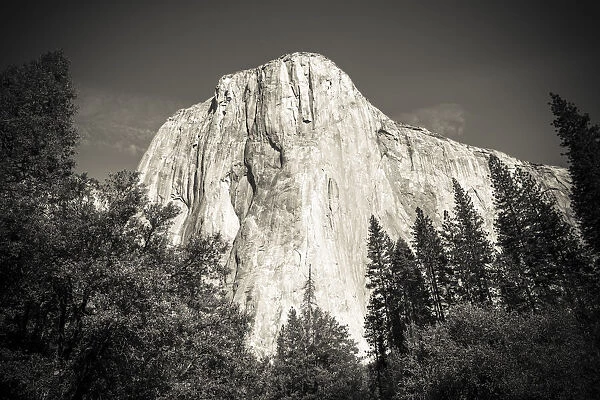 El Capitan, Yosemite Valley, Yosemite National Park, California USA