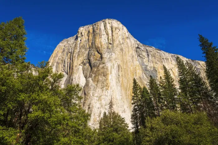 Framed Print : El Capitan, Yosemite Valley, Yosemite National Park, California USA Framed Print : El Capitan, Yosemite Valley, Yosemite National Park, California USA