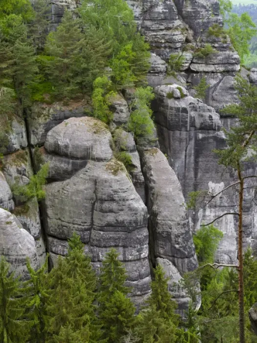 Framed Print : Elbe Sandstone Mountains (Elbsandsteingebirge) in the Saxon Switzerland NP (Saechsische Framed Print : Elbe Sandstone Mountains (Elbsandsteingebirge) in the Saxon Switzerland NP (Saechsische