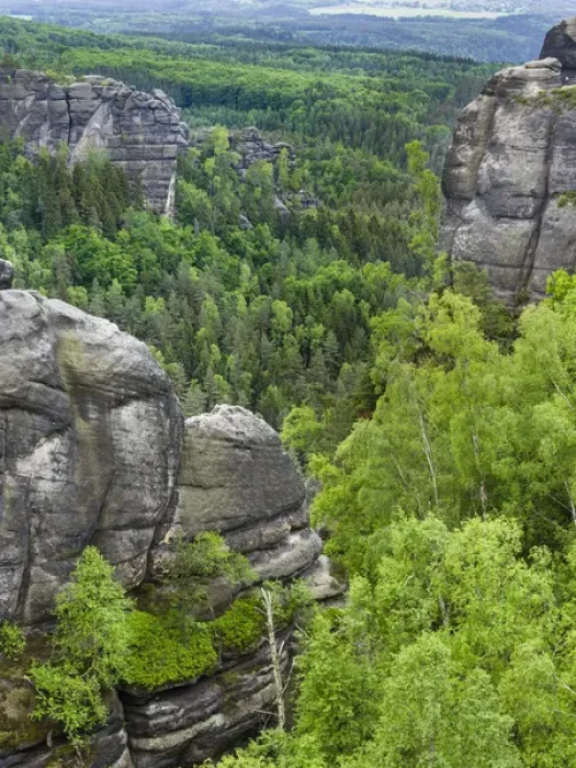 Framed Print : Elbe Sandstone Mountains (Elbsandsteingebirge) in the Saxon Switzerland NP (Saechsische Framed Print : Elbe Sandstone Mountains (Elbsandsteingebirge) in the Saxon Switzerland NP (Saechsische