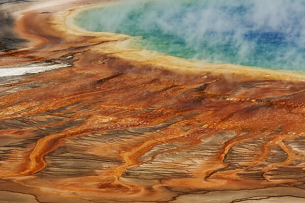 Elevated view of bacterial mat, Grand Prismatic Spring, Midway Geyser Basin, Yellowstone