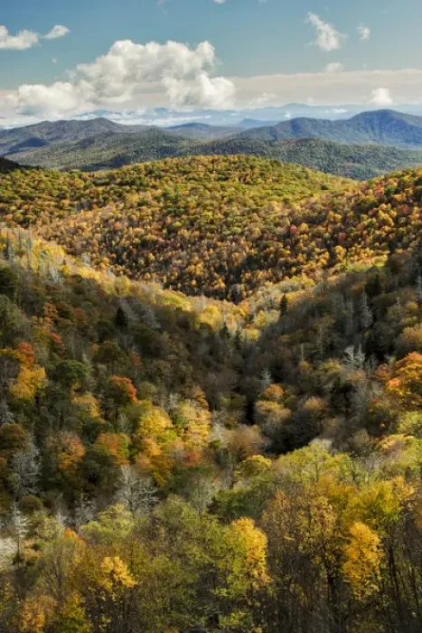 Framed Print : Elevated view of fall colors from Grassy Ridge Overlook, Pisgah National Forest near Brevard
