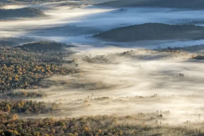 Framed Print : Elevated view of fog filled valley with trees emerging at sunrise, from Pounding Mill Overlook