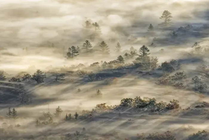 Framed Print : Elevated view of fog filled valley with trees emerging at sunrise, from Pounding Mill Overlook Framed Print : Elevated view of fog filled valley with trees emerging at sunrise, from Pounding Mill Overlook