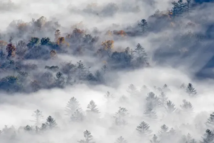 Framed Print : Elevated view of fog filled valley with trees emerging at sunrise, from Pounding Mill Overlook