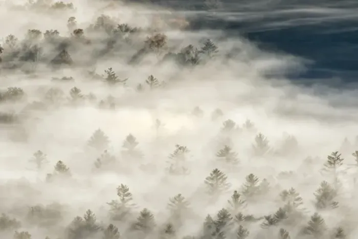 Framed Print : Elevated view of fog filled valley with trees emerging at sunrise, from Pounding Mill Overlook