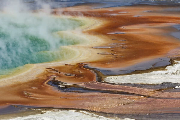Elevated view of Grand Prismatic Spring, the largest in the U. S. and third largest in the world