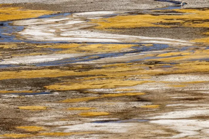 Framed Print : Elevated view of patterns in bacterial mat around Grand Prismatic spring, Midway Geyser Basin, Yellowstone National Park, Wyoming Framed Print : Elevated view of patterns in bacterial mat around Grand Prismatic spring, Midway Geyser Basin, Yellowstone National Park, Wyoming