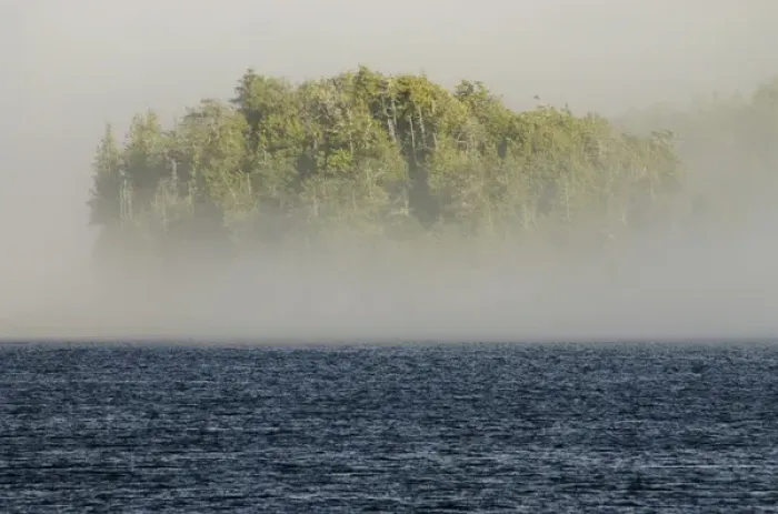 Framed Print : Eliza Island in the Mist, Queen Charlotte Strait, British Columbia, Canada, August 2006