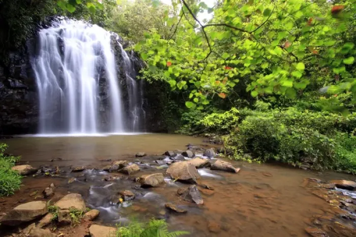 Framed Print : Ellinjaa Falls is one of three scenic waterfalls on the 15km Waterfall Circuit just
