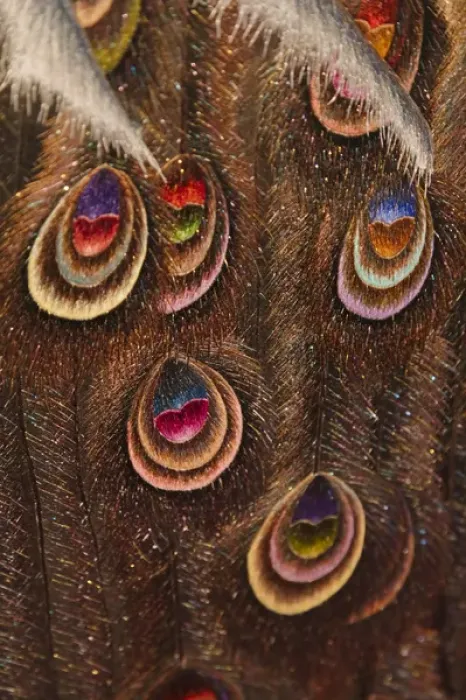 Framed Print : Embroidery piece depicting peacock feather Framed Print : Embroidery piece depicting peacock feather