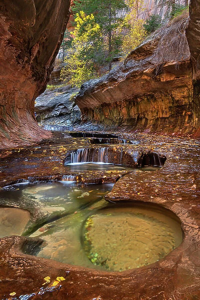Emerald green pools in The Subway, Left Fork of North Creek, Zion National Park, Utah