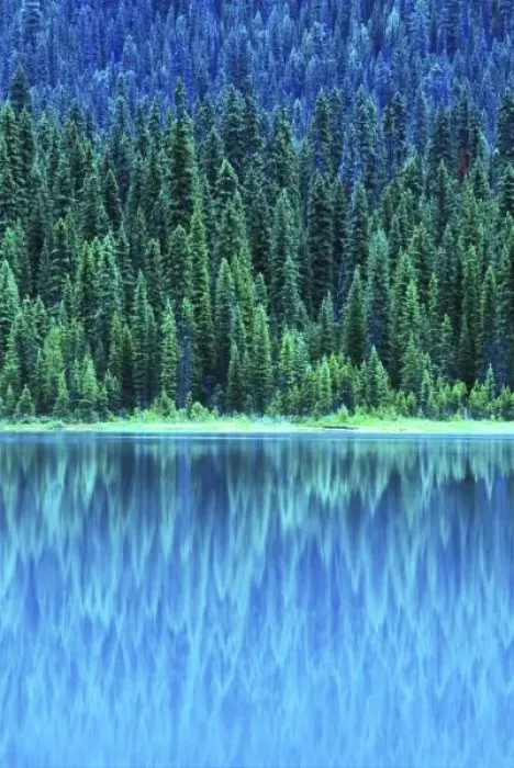 Framed Print : Emerald Lake, Yoho NP, BC, Canada Framed Print : Emerald Lake, Yoho NP, BC, Canada