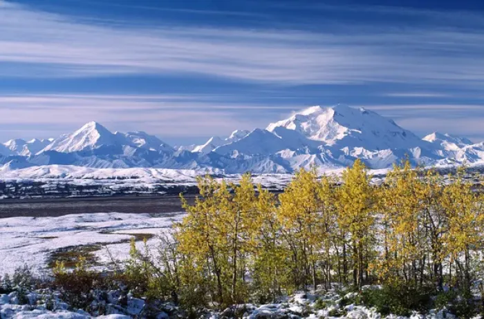 Framed Print : The end of the summer at Mt. Denali. The first snow fall of the season in the first Framed Print : The end of the summer at Mt. Denali. The first snow fall of the season in the first