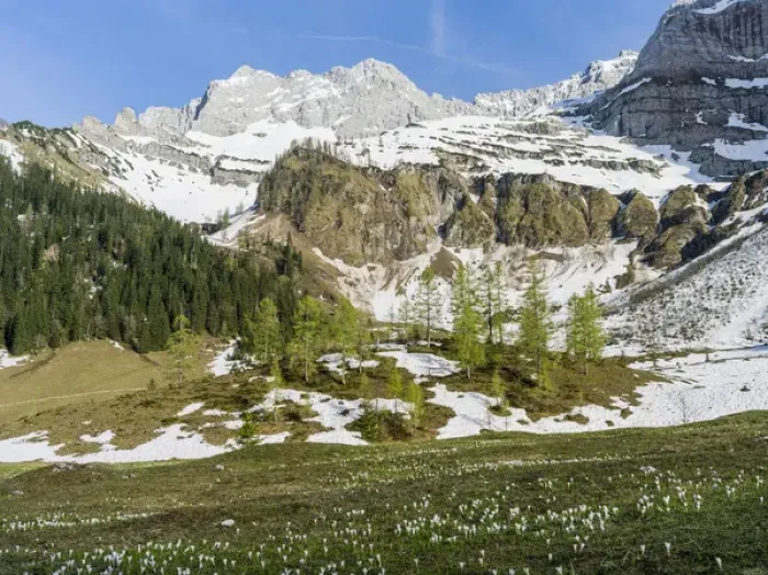 Framed Print : Eng Valley, Karwendel mountain range, Austria, view towards mount Lamsenspitze Framed Print : Eng Valley, Karwendel mountain range, Austria, view towards mount Lamsenspitze