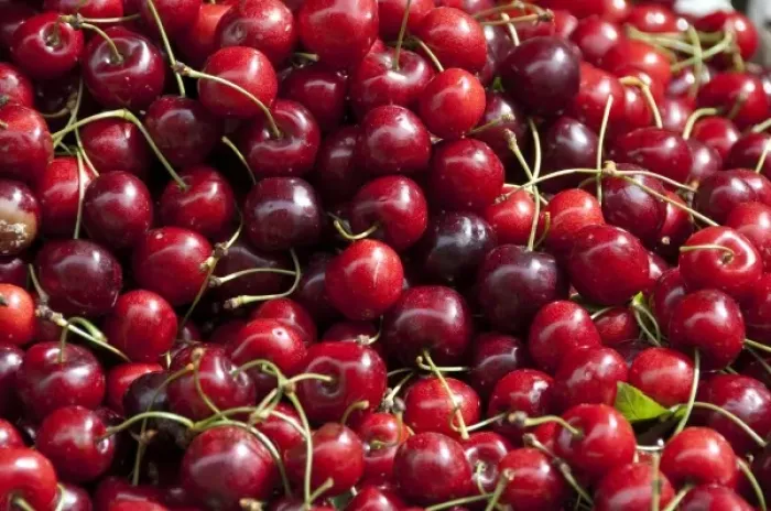 Framed Print : England, Kent, Canterbury. High Street, summer Kent cherries