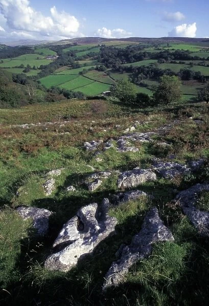 England, Wales, Carmarthen. Cenne River Valley