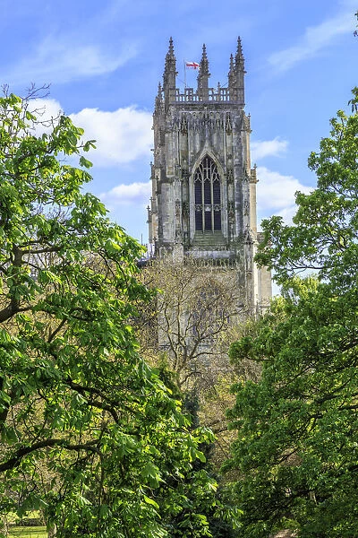 England, Yorkshire, York. The English Gothic style Cathedral and Metropolitical Church