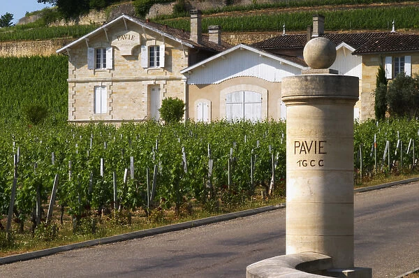 The entrance to Chateau Pavie 1er premier first Grand Cru Classe (1GCC), a stone