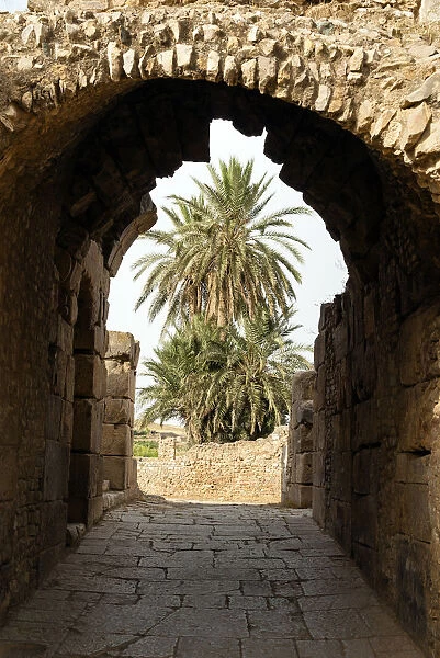 Entrance to the Theater, Roman ruins of Bulla Regia, Tunisia, North Africa