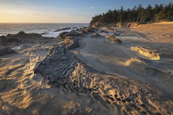 Eroded sandstone concretions and formations at Shore Acres State Park, Oregon