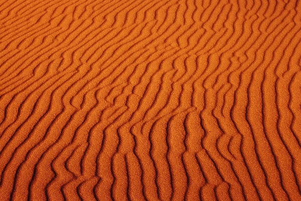 Erosion pattern in sand dune, Oregon Dunes National Recreation Area, OR