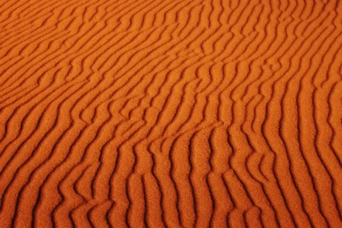 Framed Print : Erosion pattern in sand dune, Oregon Dunes National Recreation Area, OR Framed Print : Erosion pattern in sand dune, Oregon Dunes National Recreation Area, OR