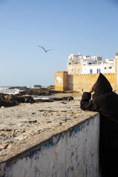 Framed Print : Essaouira, Morocco. Watching the sea and a seagull
